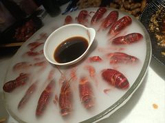精品冰镇蓝龙虾-红盔甲·小龙虾(天钥桥店)