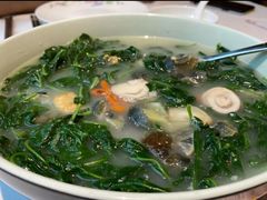 上汤枸杞叶猪润-花城苑广府菜(侨鑫店)