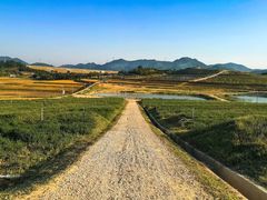 -光明小镇欢乐田园