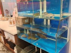 -彭城味道.地道徐州味(怡海花园店)