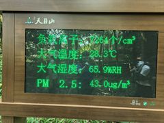 -天目山大树王景区