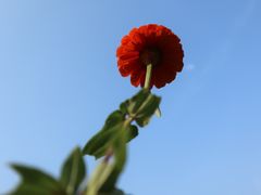 -艾溪湖湿地公园