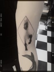 -Black Tattoo Studio