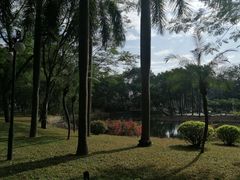 -晓港公园