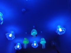 -多彩贵州城极地海洋世界