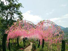 -梁野山景区