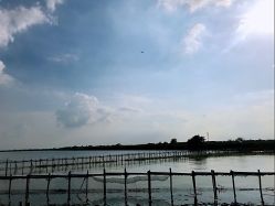 -水八仙生态园