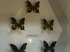 -青藏高原自然博物馆