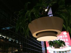 -天山醉美辣子鸡(文艺路店)