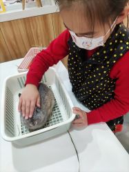 -Moni星球萌宠·小马宝莉·灵蛇·高端高阶全萌宠互动体验俱乐部(红豆国际广场店)