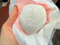 -澳门长洲糯米糍(柯打苏沙街店)