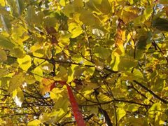 -天津盘山风景名胜区