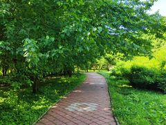 -黑龙江省森林植物园