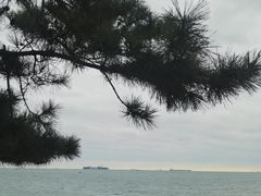 -八大关景区