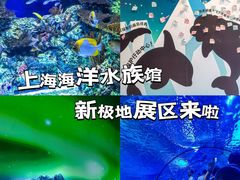 -上海海洋水族馆
