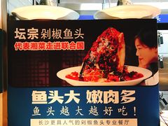 -坛宗剁椒鱼头(河西王府井店)