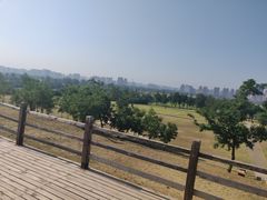 -汉长安城未央宫国家考古遗址公园