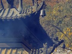 -潭柘寺景区