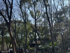-西园戒幢律寺
