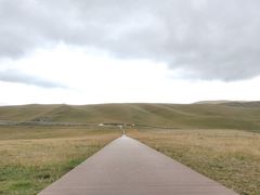 -郭莽湿地