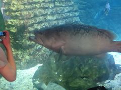 -烟台海昌鲸鲨海洋公园