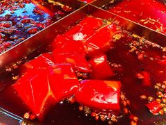 鲜鸭血-陈眼镜火锅(总店)