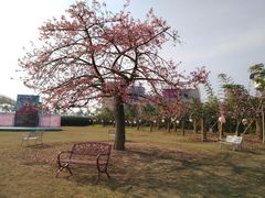 -广州花之恋城堡酒店