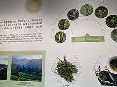 -中国茶叶博物馆(双峰馆区)