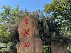 -鲁山国家森林公园