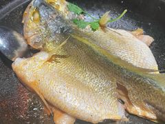 原汁原味焗黄花鱼-八月小厨· 湛江风味粤菜
