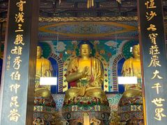 -峨眉山报国寺