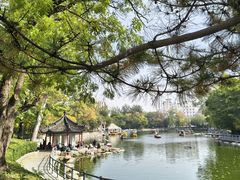 -莲湖公园