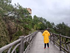 -千岛湖天屿景区