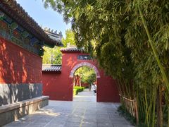 -洛阳白马寺