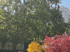 -西北轻工批发市场