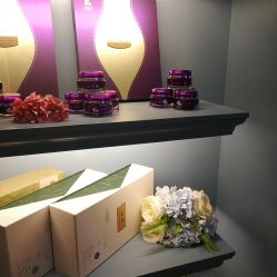 -静博士养生美容连锁