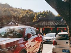 -上海佘山国家森林公园天马山园