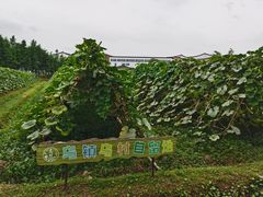 -乌村