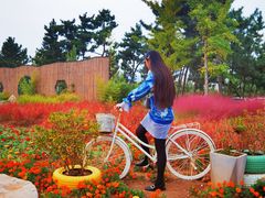 -羊亭河湿地公园