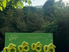 -燕塞湖鸟语林景区