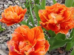 -上海植物园-4号门售票处