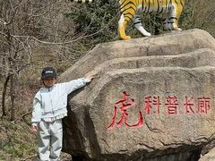 -横道河子东北虎林园