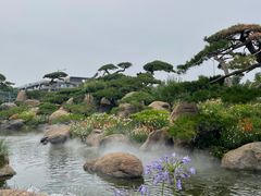 -罗红摄影艺术馆