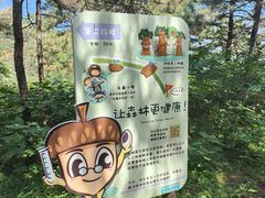 -北京西山国家森林公园