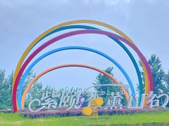 -紫颐香薰山谷景区