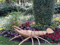 -上海共青森林公园