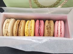 -Pierre Marcolini(德基广场店)