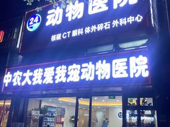 -中农大我爱我爱24h动物医院·中医针灸·猫专科·骨科医疗中心(双井店)