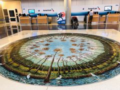 -达拉斯 沃斯堡国际机场