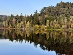 -五营红松林海景区